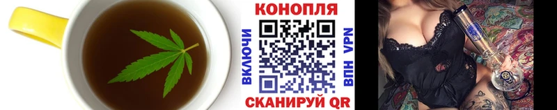 Canna-Cookies марихуана  сколько стоит  Сосновка 