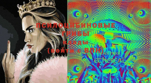 скорость Дмитриев