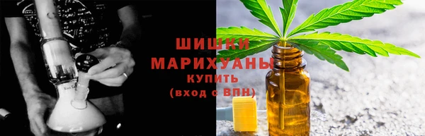 прущие грибы Богданович